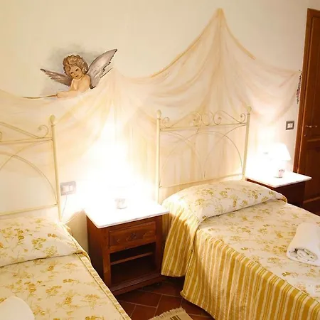 Gatto Bianco Tizzauli