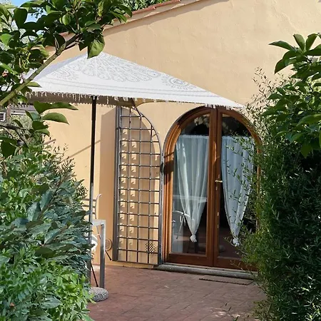 Gatto Bianco Tizzauli *