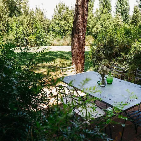 Gatto Bianco Tizzauli * Montespertoli