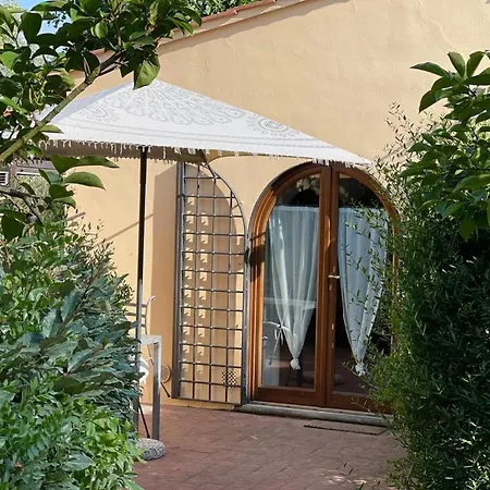 Gatto Bianco Tizzauli *