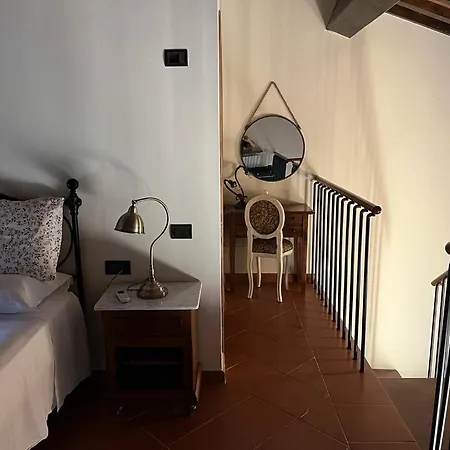 Gatto Bianco Tizzauli