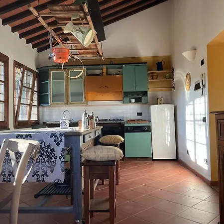 Gatto Bianco Tizzauli *