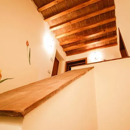 Agroturismo Gatto Bianco Tizzauli